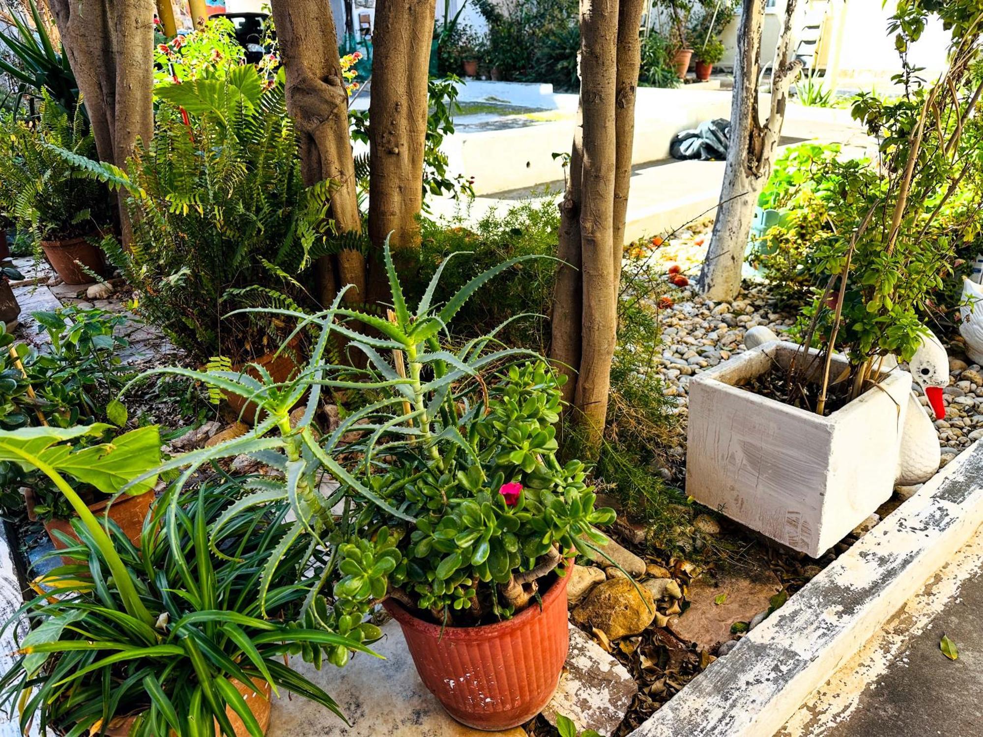 Matina Room Chania  Exterior foto